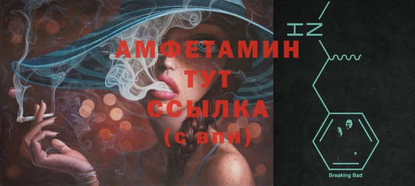 ГАЛЛЮЦИНОГЕННЫЕ ГРИБЫ Струнино