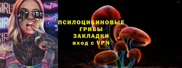 ГАЛЛЮЦИНОГЕННЫЕ ГРИБЫ Струнино
