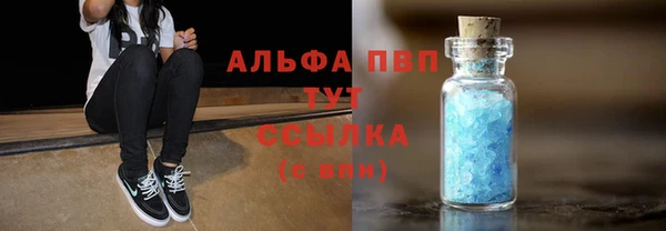 ГАЛЛЮЦИНОГЕННЫЕ ГРИБЫ Струнино
